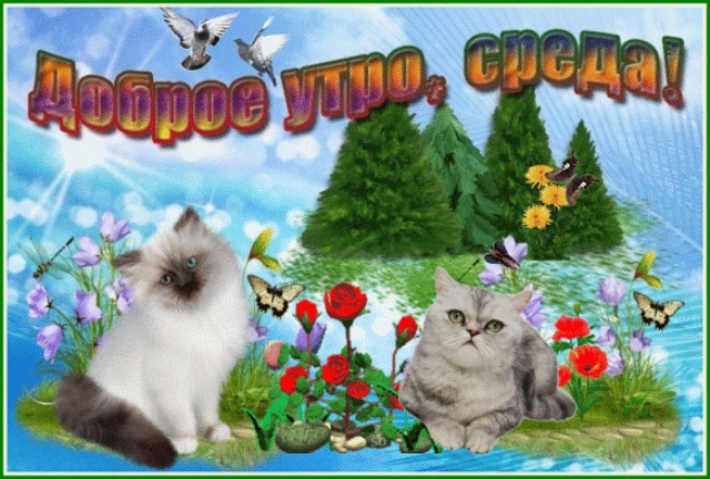 Открытки